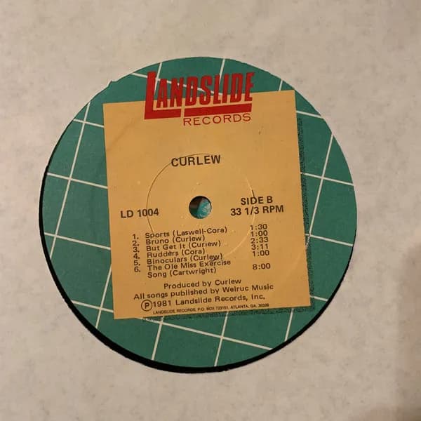 Curlew — Curlew