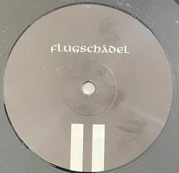 Flugschädel — Flugschädel