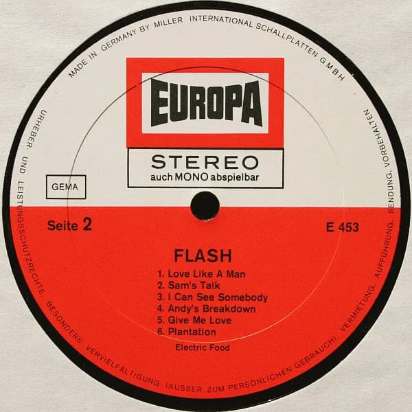 Electric Food — Flash
