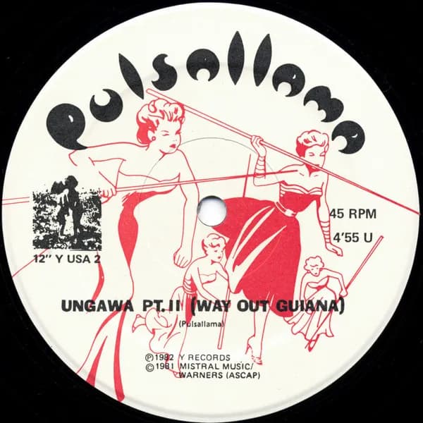 Pulsallama — The Devil Lives In My Husband's Body