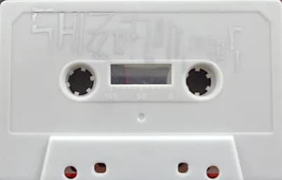 Shizzo Flamingos — Demo