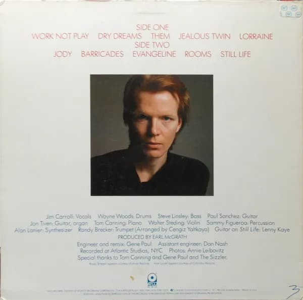 The Jim Carroll Band — Dry Dreams
