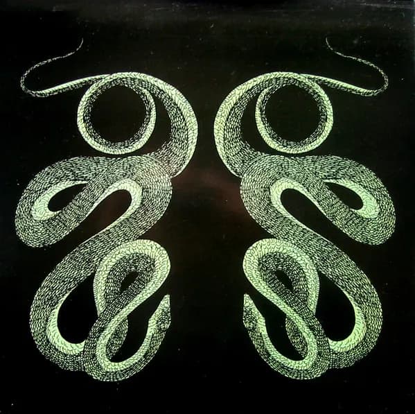 Jooklo Duo — Free Serpents