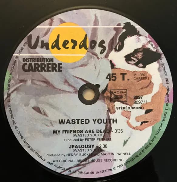 Wasted Youth (3) — My Friends Are Dead