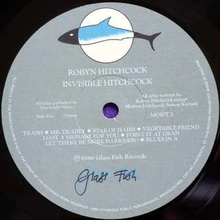 Robyn Hitchcock — Invisible Hitchcock