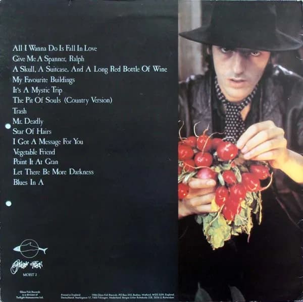 Robyn Hitchcock — Invisible Hitchcock