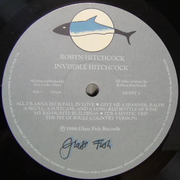 Robyn Hitchcock — Invisible Hitchcock