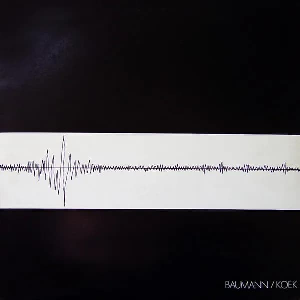Baumann / Koek