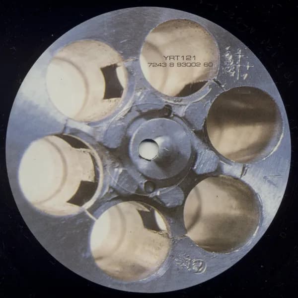 Fluke — Bullet