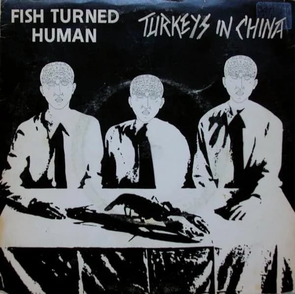 Fish Turned Human — Turkeys In China