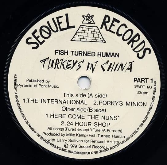 Fish Turned Human — Turkeys In China