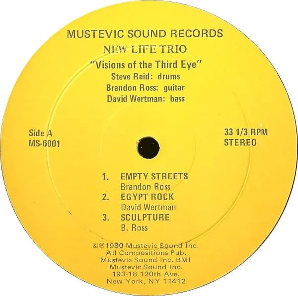 New Life Trio — Visions Of The Third Eye