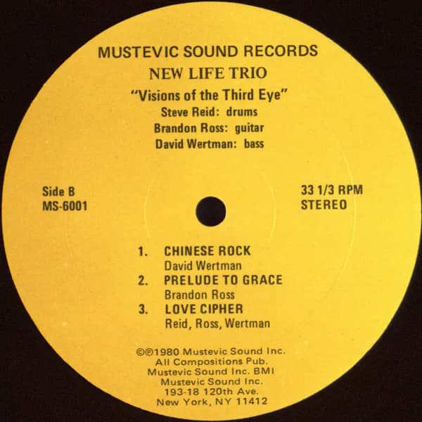 New Life Trio — Visions Of The Third Eye