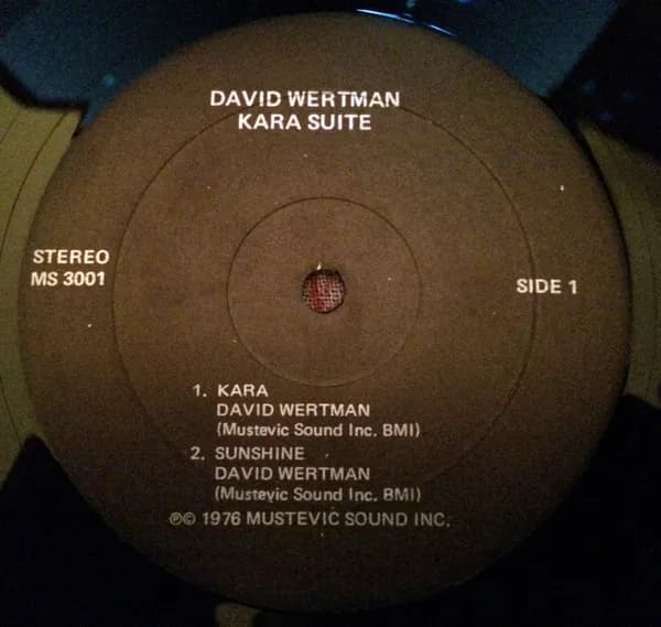 David Wertman — Kara Suite