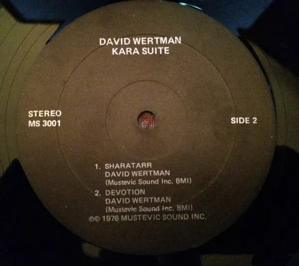 David Wertman — Kara Suite