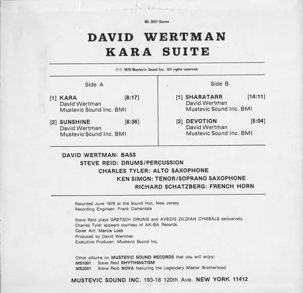 David Wertman — Kara Suite