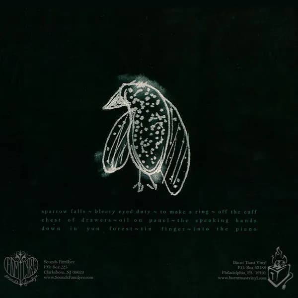 Woven Hand — Consider The Birds