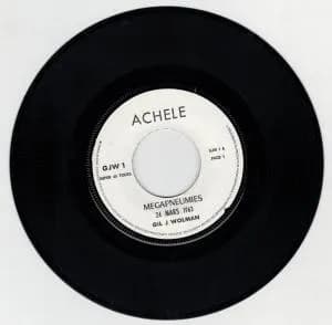 Mégapneumies 24 Mars 1963