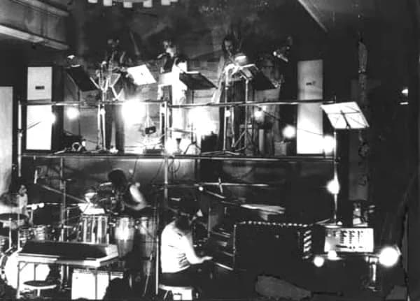 Wiebelfetzer — Live