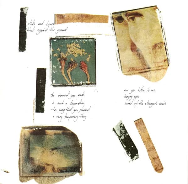 Icehouse — Primitive Man