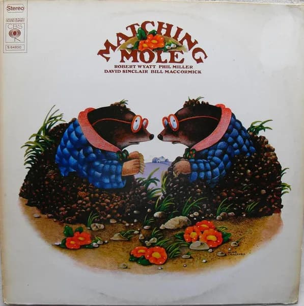 Matching Mole