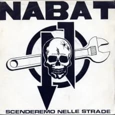 Scenderemo Nelle Strade