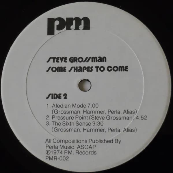 Steve Grossman — Some Shapes To Come