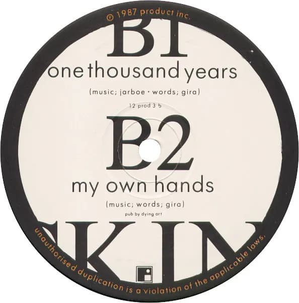 Skin (2) — One Thousand Years