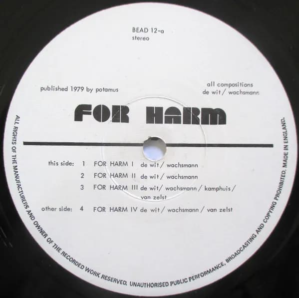 Harry de Wit / Philipp Wachsmann — For Harm