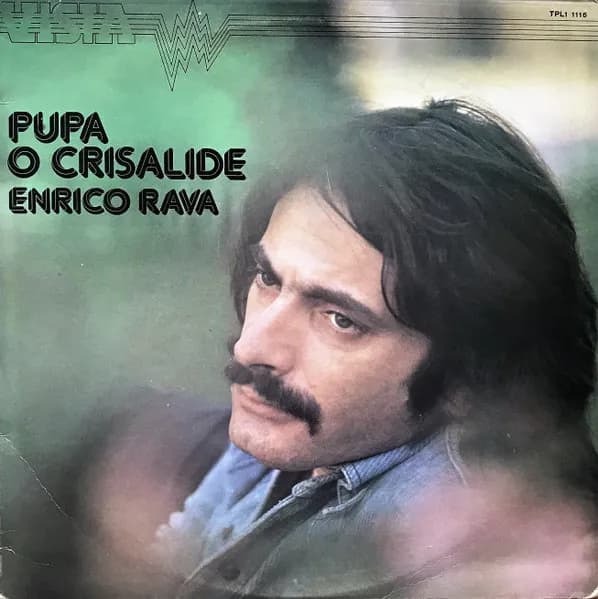 Pupa O Crisalide