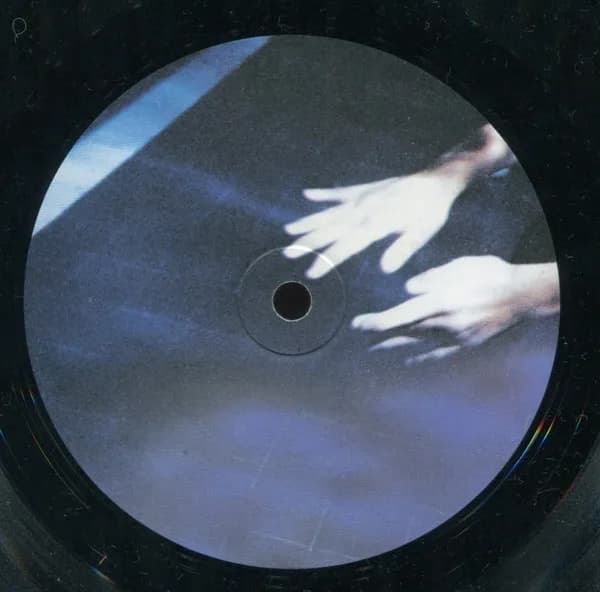 Siouxsie & The Banshees — The Scream