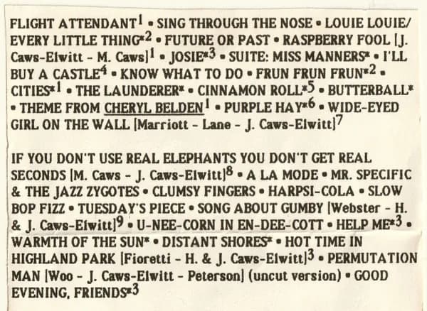 The Silly Pillows And Various — Recorded At The Muffin, Friendsville PA (Miscellaneous Recordings By The Silly Pillows And Friends, 1990-1991)