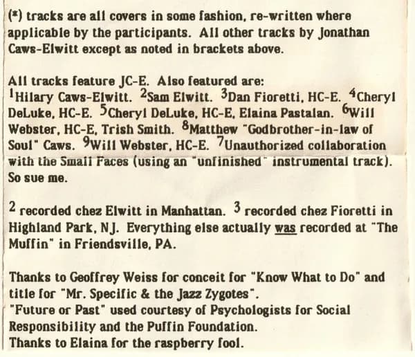 The Silly Pillows And Various — Recorded At The Muffin, Friendsville PA (Miscellaneous Recordings By The Silly Pillows And Friends, 1990-1991)