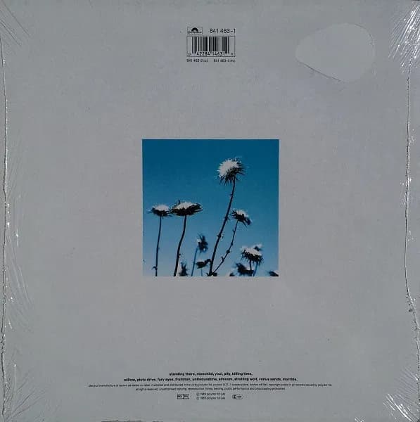 The Creatures — Boomerang
