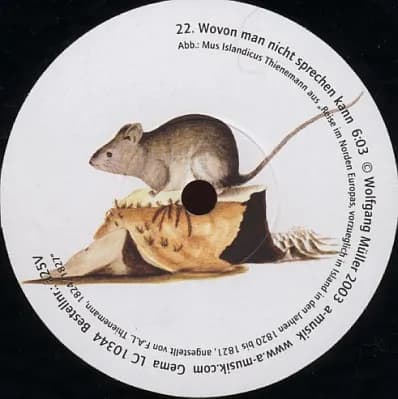 Wolfgang Müller — Mit Wittgenstein In Krisuvík - Zweiundzwanzig Elfensongs Für Island