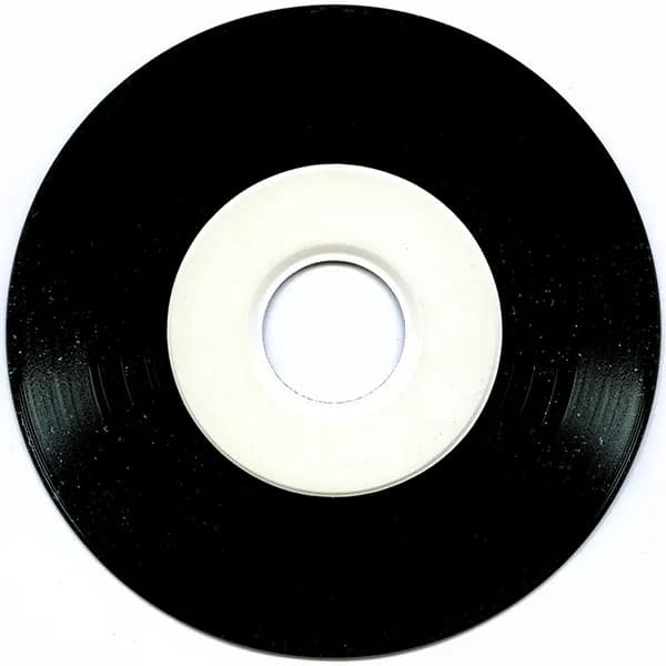 Ludwig Von 88 / Pervers Polymorphes Inorganisés — Ludwig Von 88 / P.P.I.