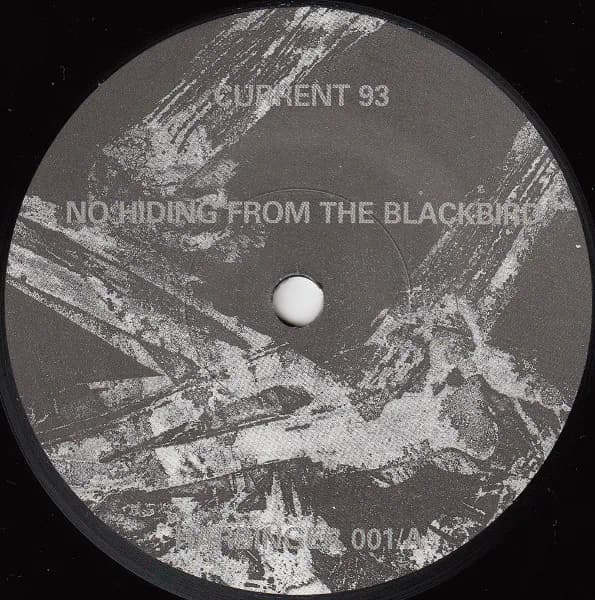 Current 93 / Nurse With Wound — No Hiding From The Blackbird / The Burial Of The Stoned Sardine