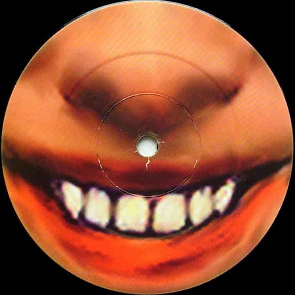 Aphex Twin — ...I Care Because You Do