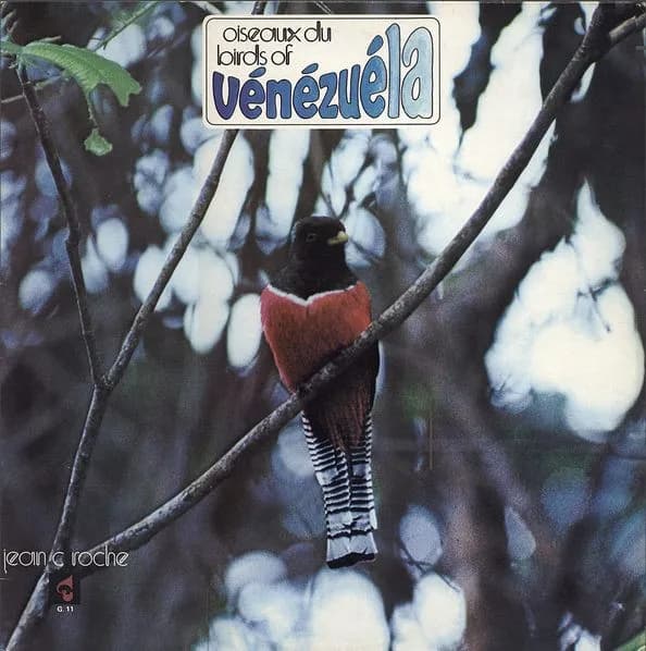 Oiseaux Du - Birds Of Vénézuéla