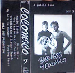 A Public Demo