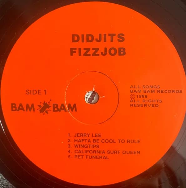 Didjits — Fizzjob