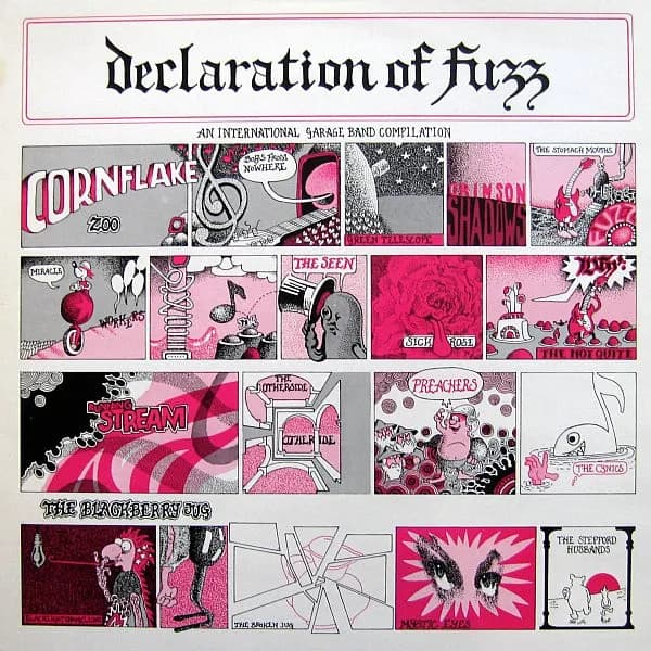 Declaration Of Fuzz