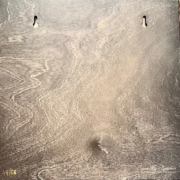 Nurse With Wound — Thunder Perfect Mind