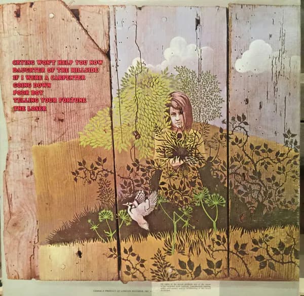 Chicken Shack — Imagination Lady
