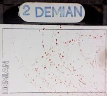 Named Demian