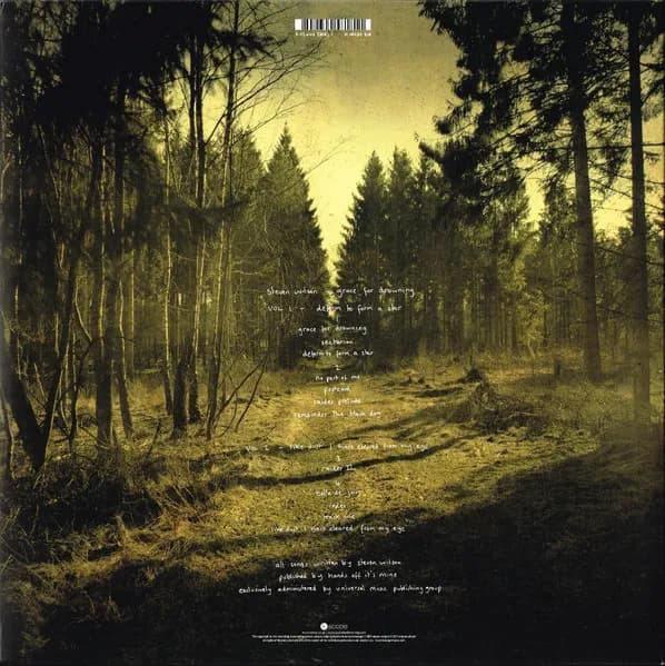 Steven Wilson — Grace For Drowning