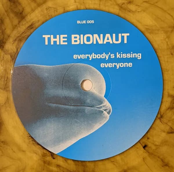 Everybody's Kissing Everyone
