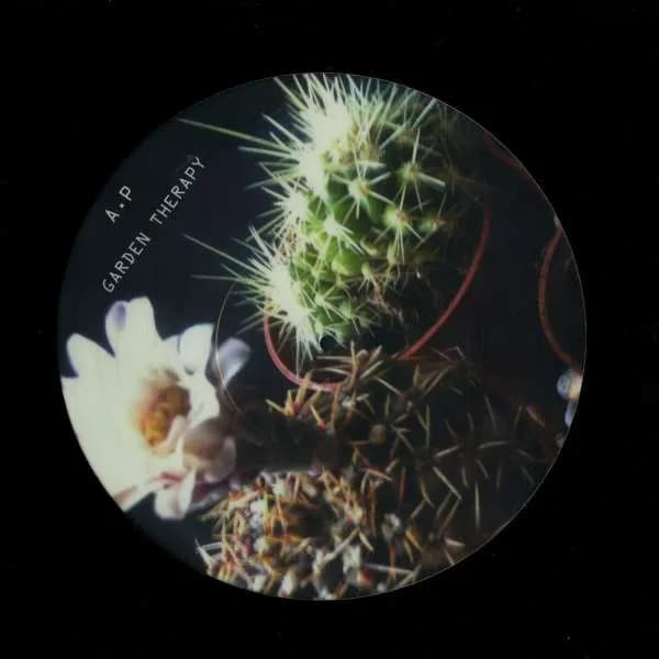 Anders Peterson — Garden Therapy