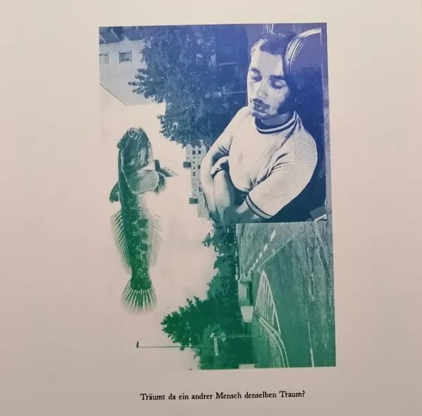 Brannten Schnüre — Muschelsammlung
