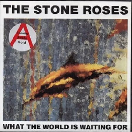 What The World Is Waiting For / Fools Gold